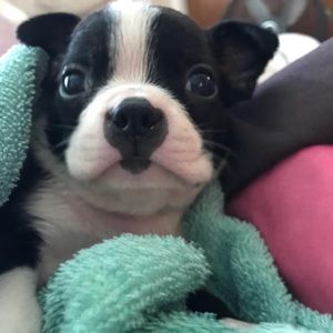 Meet your Posher, Keyshauna